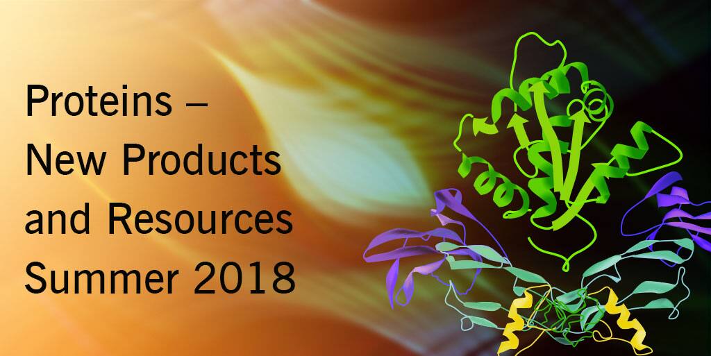 New Proteins , Webinars and Resources