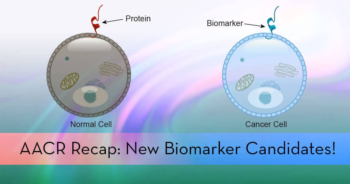 Cancer biomarkers