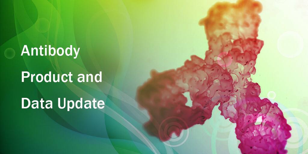 Antibody Product Update