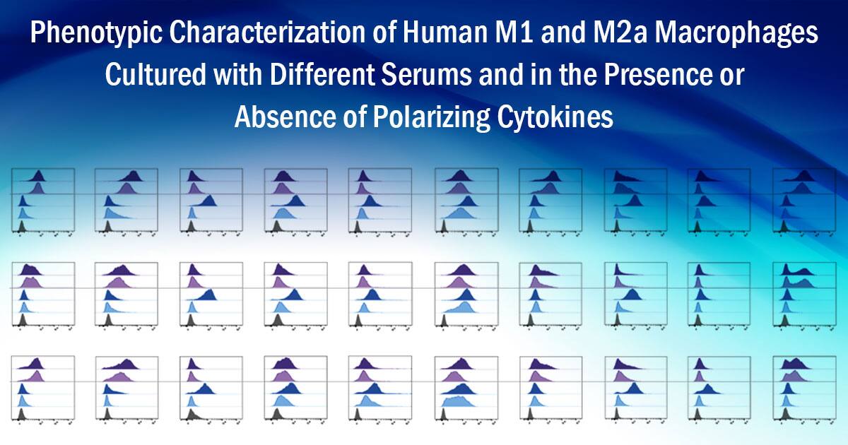 M1 and M2a Macrophage Phenotypic Characterization Poster