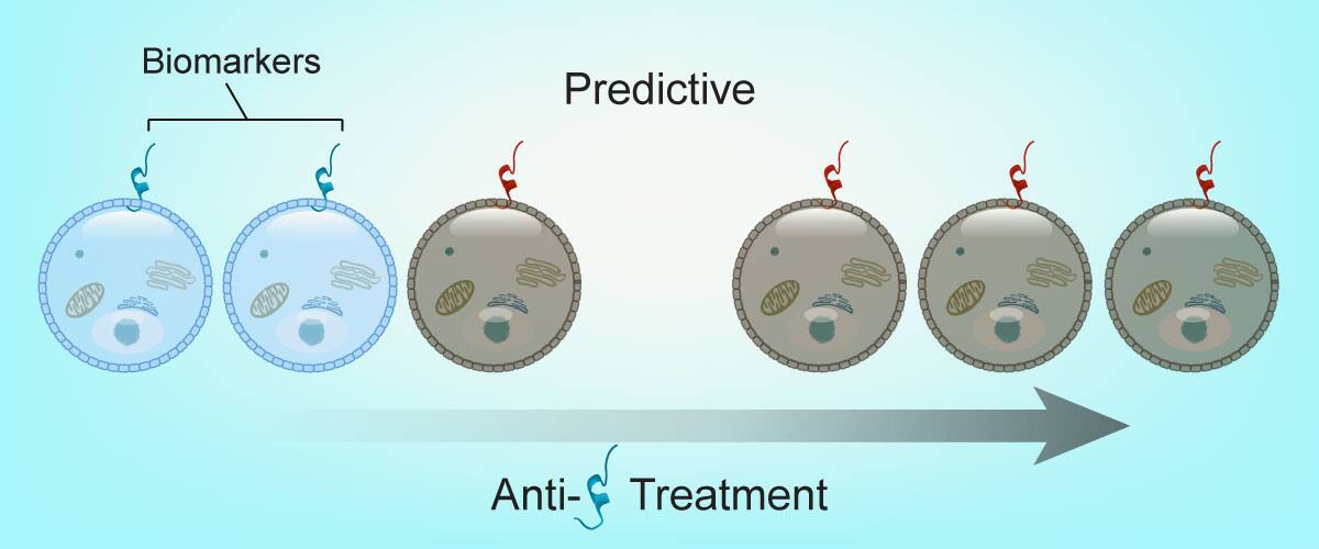 Predictive biomarkers