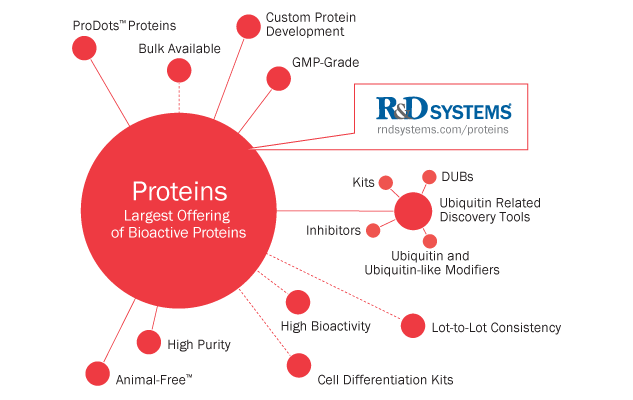 proteins