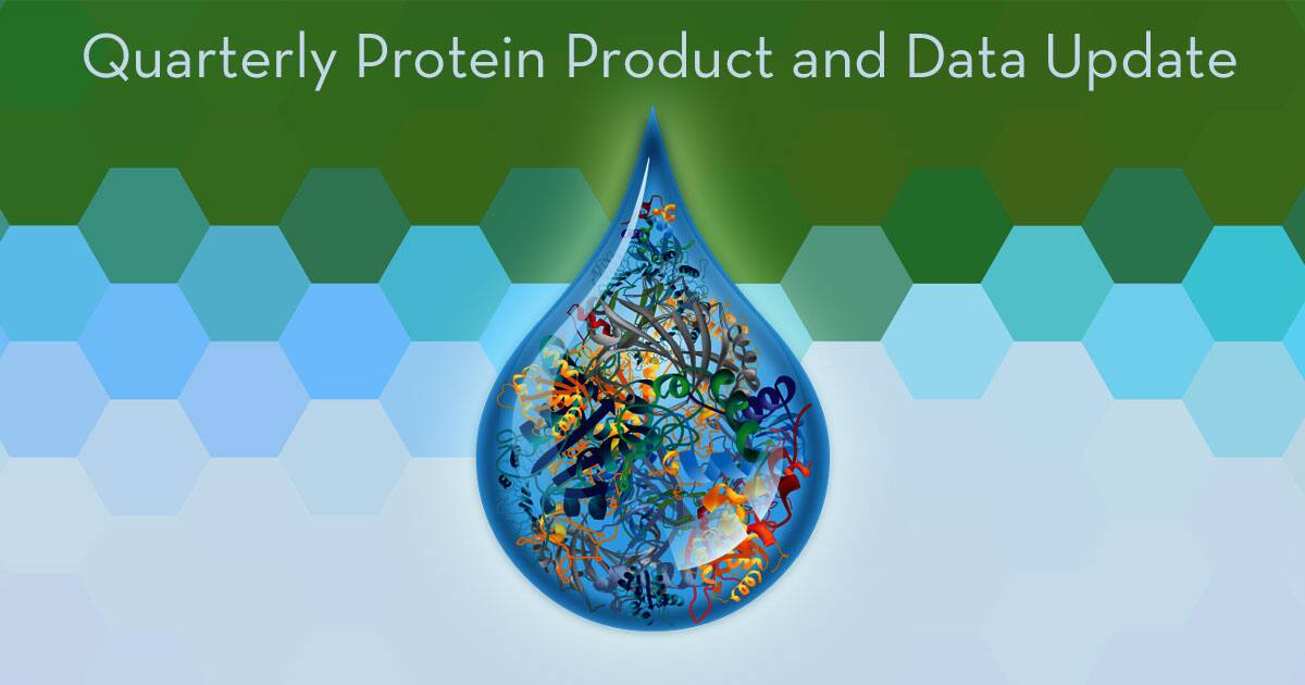 Protein Structure Banner
