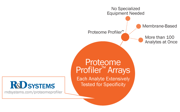 proteome profiler