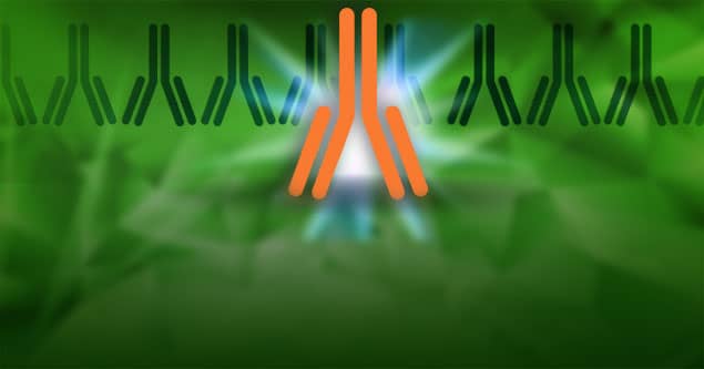 antibody highlight