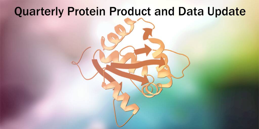 Protein Structure Banner