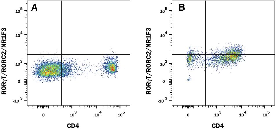 R&D Systems Catalog # IC9125G