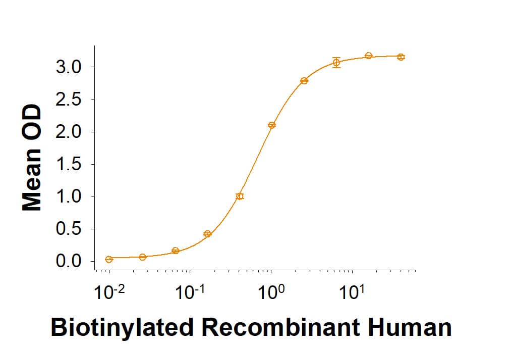 Recombinant Human PD-L2/B7-DC His-tag Avi-tag Protein, CF Binding Activity