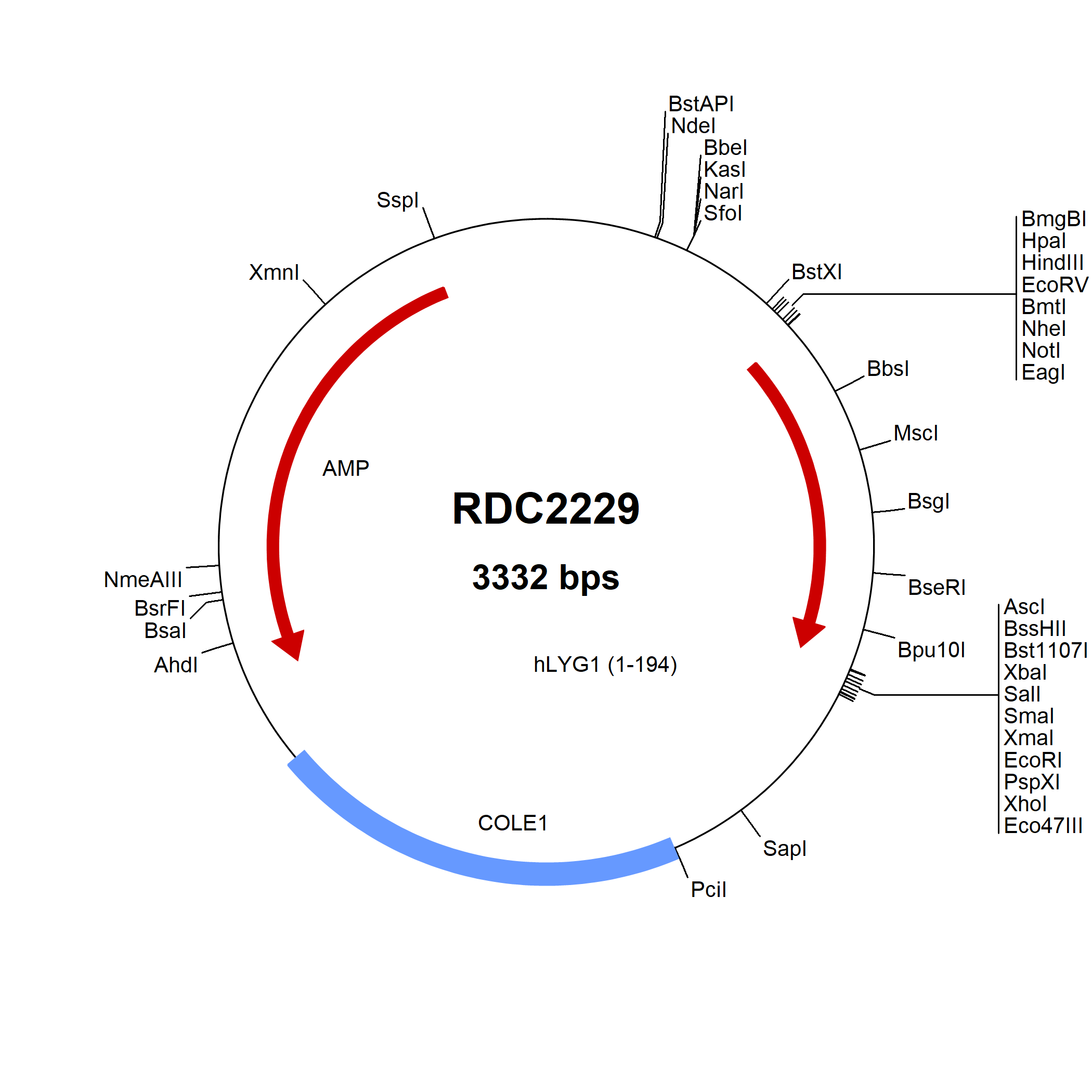 Human LYG1 NP 777558 VersaClone CDNA RDC2229 R D Systems