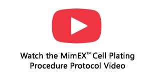 Protocol for Plating MimEX Irradiated Fibroblasts for Stem Cell Expansion Step 6