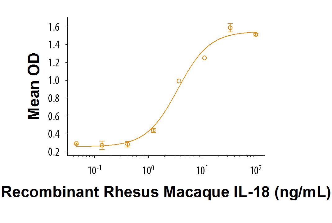Recombinant Rhesus Macaque IL-18/IL-1F4 Protein Bioactivity Recombinant Rhesus Macaque IL-18/IL-1F4 Protein Bioactivity
