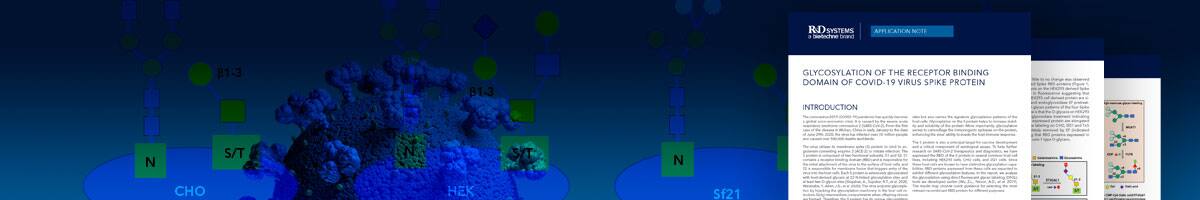 Spike RBD Proteins and Glycosylation