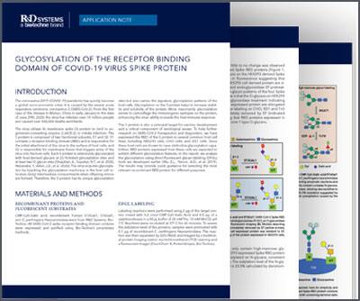 Spike RBD Proteins and Glycosylation