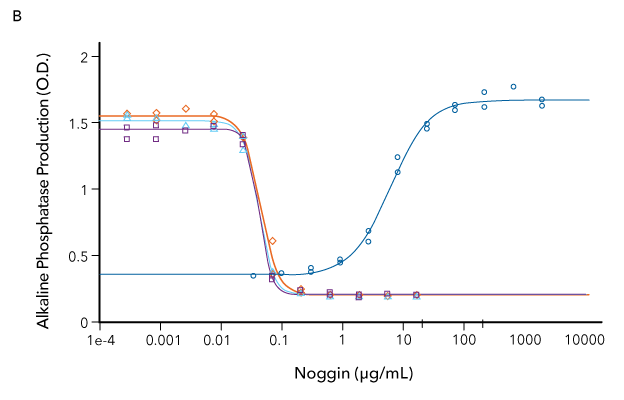 : Comparison of the bioactivity of three different lots of R&D Systems Recombinant Human Noggin demonstrates lot-to-lot consistency in the protein produced from three different manufacturing runs.