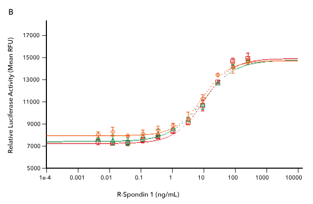 Comparison of the bioactivity of three different lots of R&D Systems Recombinant Human R-Spondin 1 demonstrates lot-to-lot consistency in the protein produced from three different manufacturing runs.
