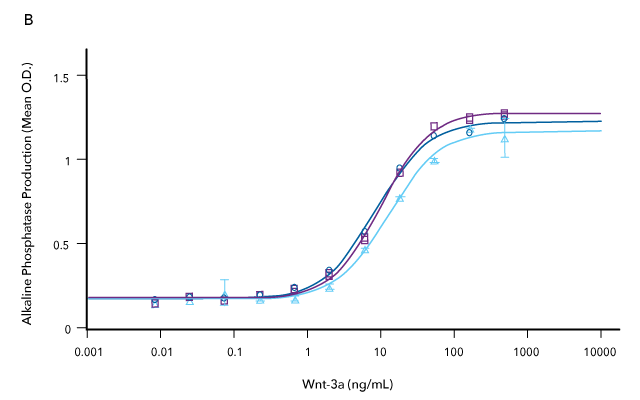 Comparison of the bioactivity of three different lots of R&D Systems Recombinant Human R-Spondin 1 demonstrates lot-to-lot consistency in the protein produced from three different manufacturing runs.