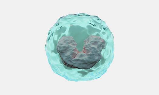 R&D Systems monocyte