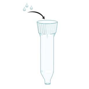 R&D Systems Protocol for Rat CD4+ T Cell Enrichment Column