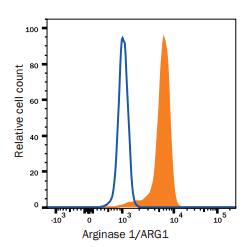 Detection of Arginase 1 Expression in Human Granulocytic Myeloid-derived Suppressor Cells by Flow Cytometry
