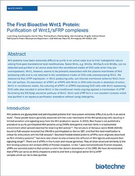 The First Bioactive Wnt 1 Protein: Purification of Wnt1/sFRP Complexes