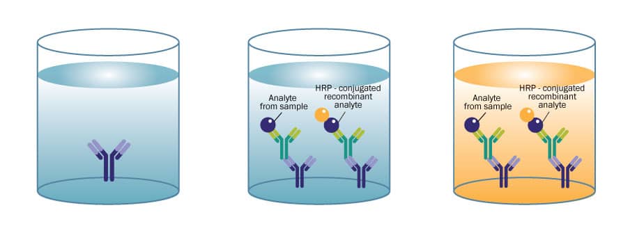 Competitive ELISA Diagram of a competitive ELISA