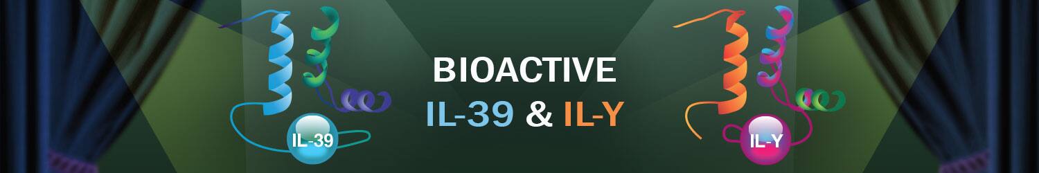 il-12 family