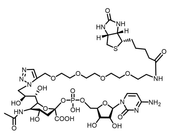CMP-Azido-Sialic Acid Structure CMP-Azido-Sialic Acid Structure