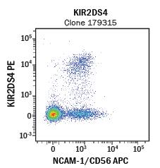 Detection of CD56/NCAM-1+KIR2DS4+ Peripheral Blood Mononuclear Cells by Flow Cytometry