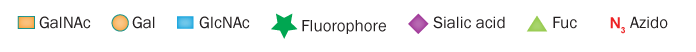 Enzymatically introduce an azido sugar onto a specific target glycan