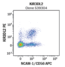 Detection of CD56/NCAM-1+KIR3DL2+ Peripheral Blood Mononuclear Cells by Flow Cytometry