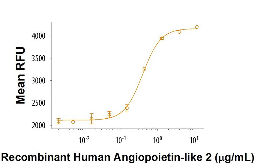 Recombinant Human ANGPTL2 Protein
