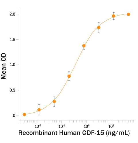 Recombinant Human GDF-15 protein