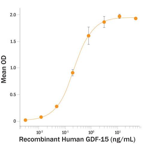 Recombinant Human GDF-15 protein