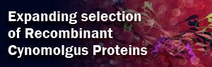 Recombinant Cynomolgus Proteins