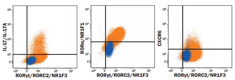 Detection of Cell Surface Markers on Human Th17 Cells by Flow Cytometry