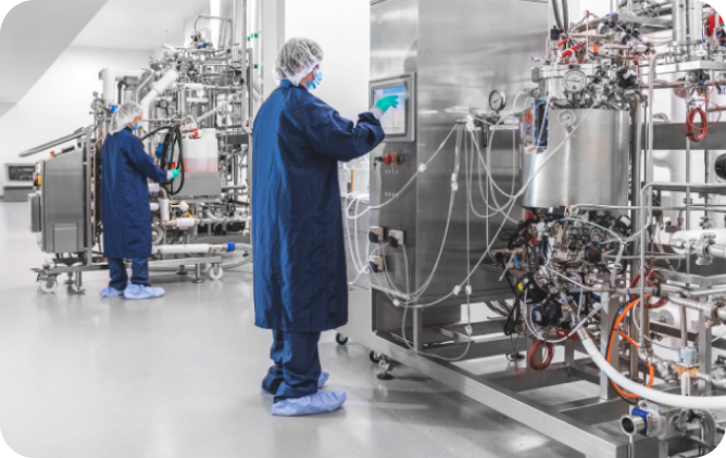 GMP Manufacturing