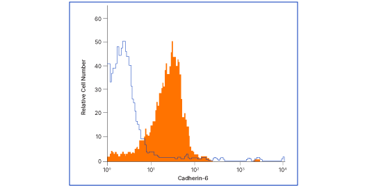Flow cytometry analysis of Cadherin-6/KCAD Antibody