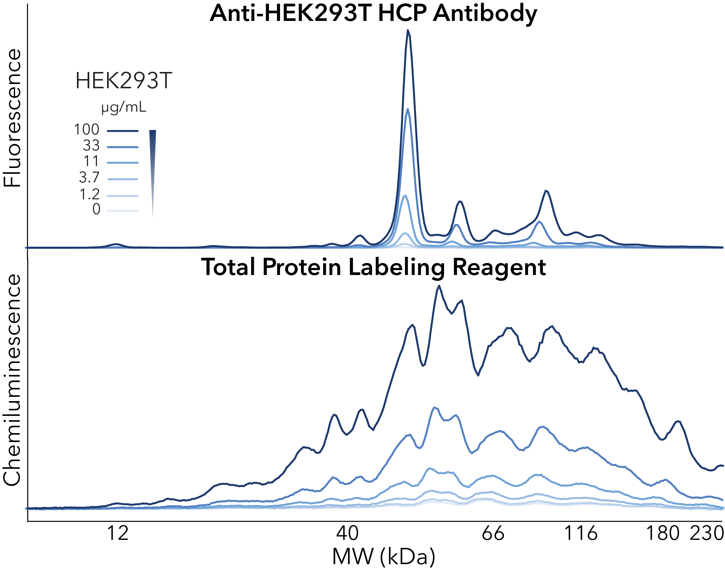 HEK293 HCP Total Protein detection on Simple Western