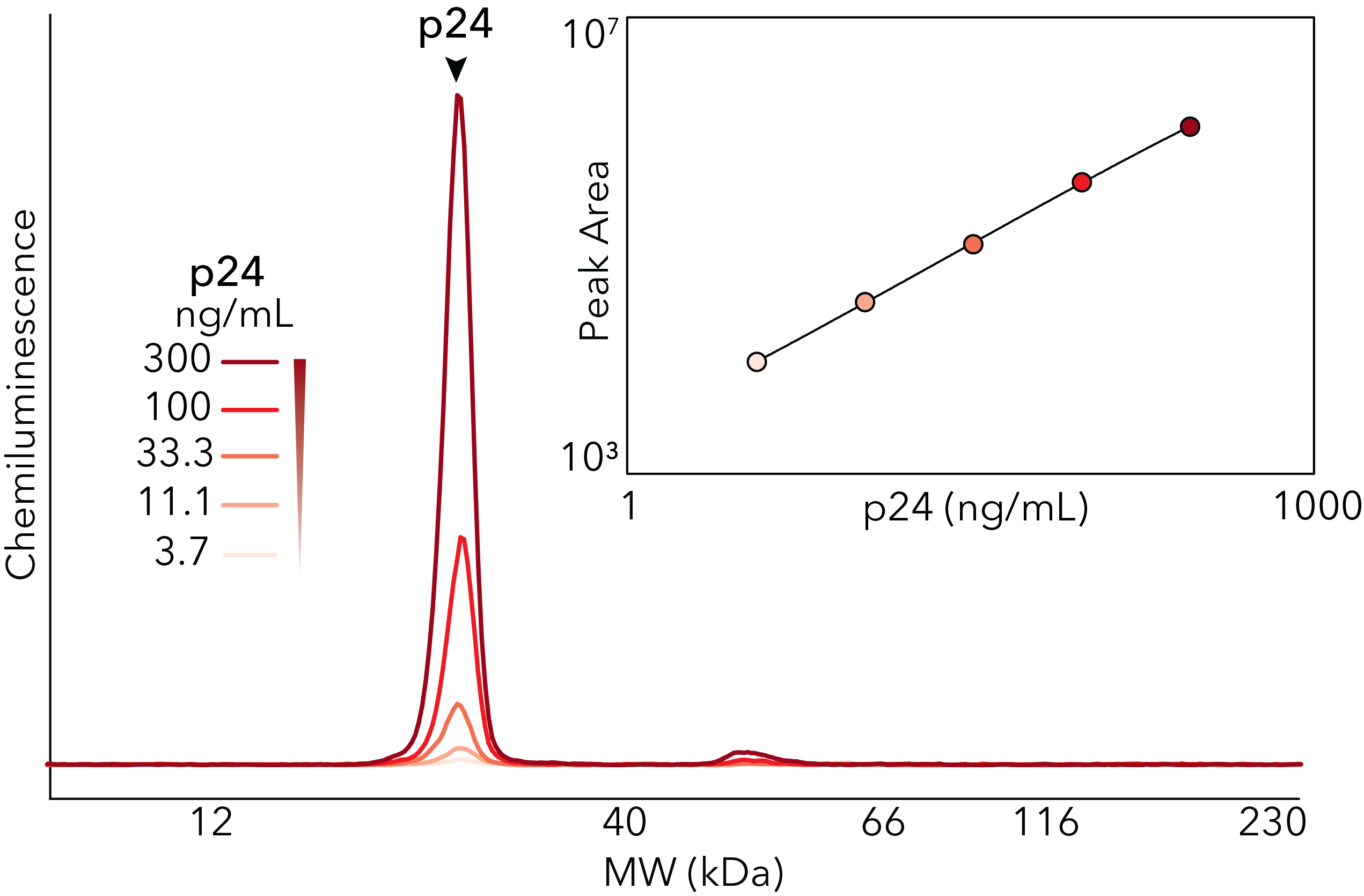 p24 Lentivirus titer quantification with Simple Western