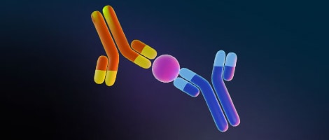 Antibodies binding target analyte in sandwich ELISA