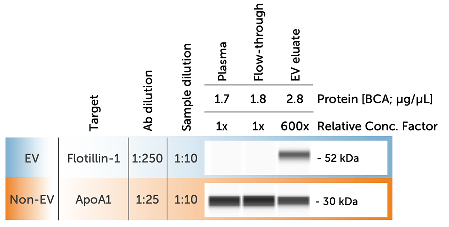 Extracellular Vesicle Analysis with Simple Western