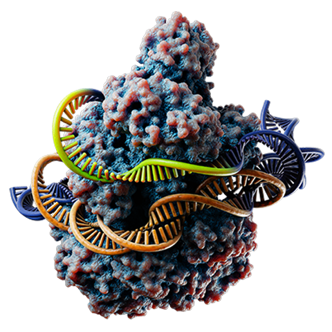 CRISPR Gene Editing