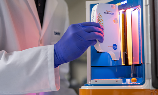 Scientist Holding ProteinSimple Maurice Cartridge 