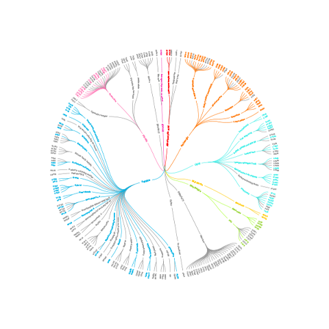 Tocriscreen GPCR Compound Library phylogenetic tree
