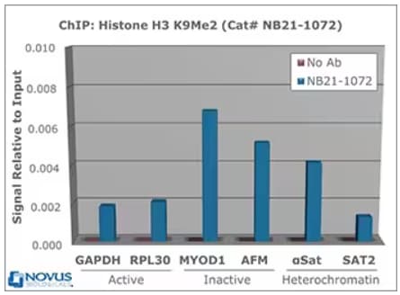 Chromatin Immunoprecipitation analysis of Rabbit Anti-Histone H3 used to IP chromatin from Hela cells.