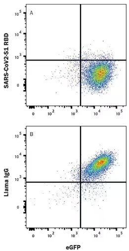 FC analysis using LlaMABody antibodies as a blocker.