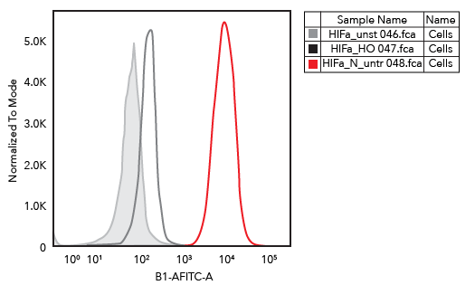 Flow cytometry HIF1a antibody