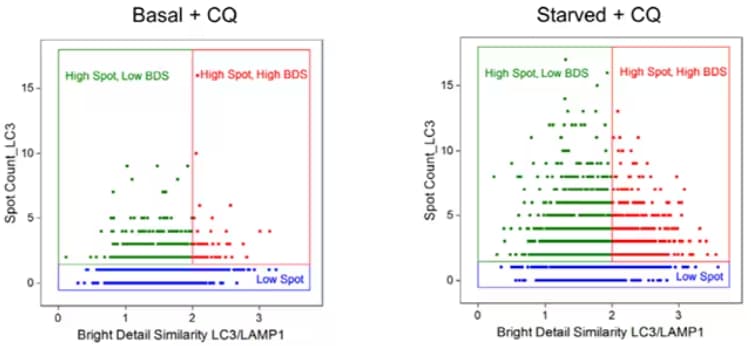 Multispectral imaging flow cytometry analysis of Jurkat cells under basal or starved conditions treated with Chloroquine modifie