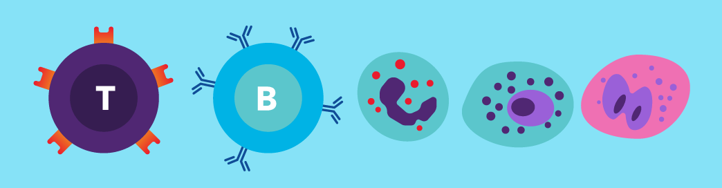 Isolating immune cells from peripheral blood
