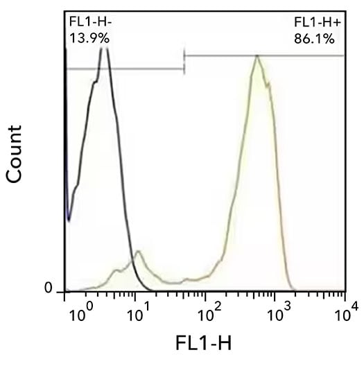 Flow cytometry showing detection of CD3 in hPBMc's with cells stained with CD3 conjugated to AF488 (orange) and mIgG2 (AF488 con
